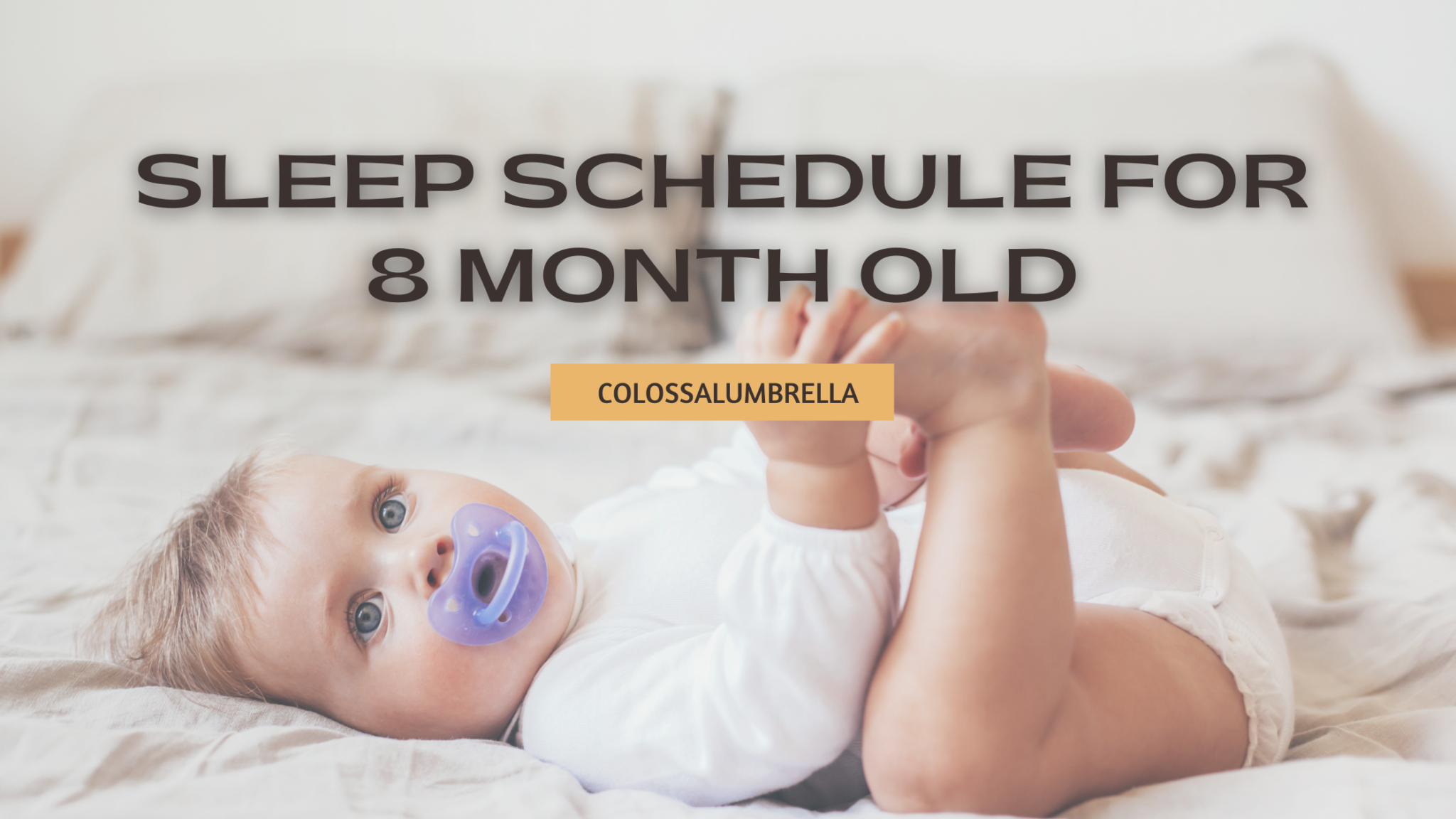 how-much-should-an-8-month-old-sleep-free-schedule-printable