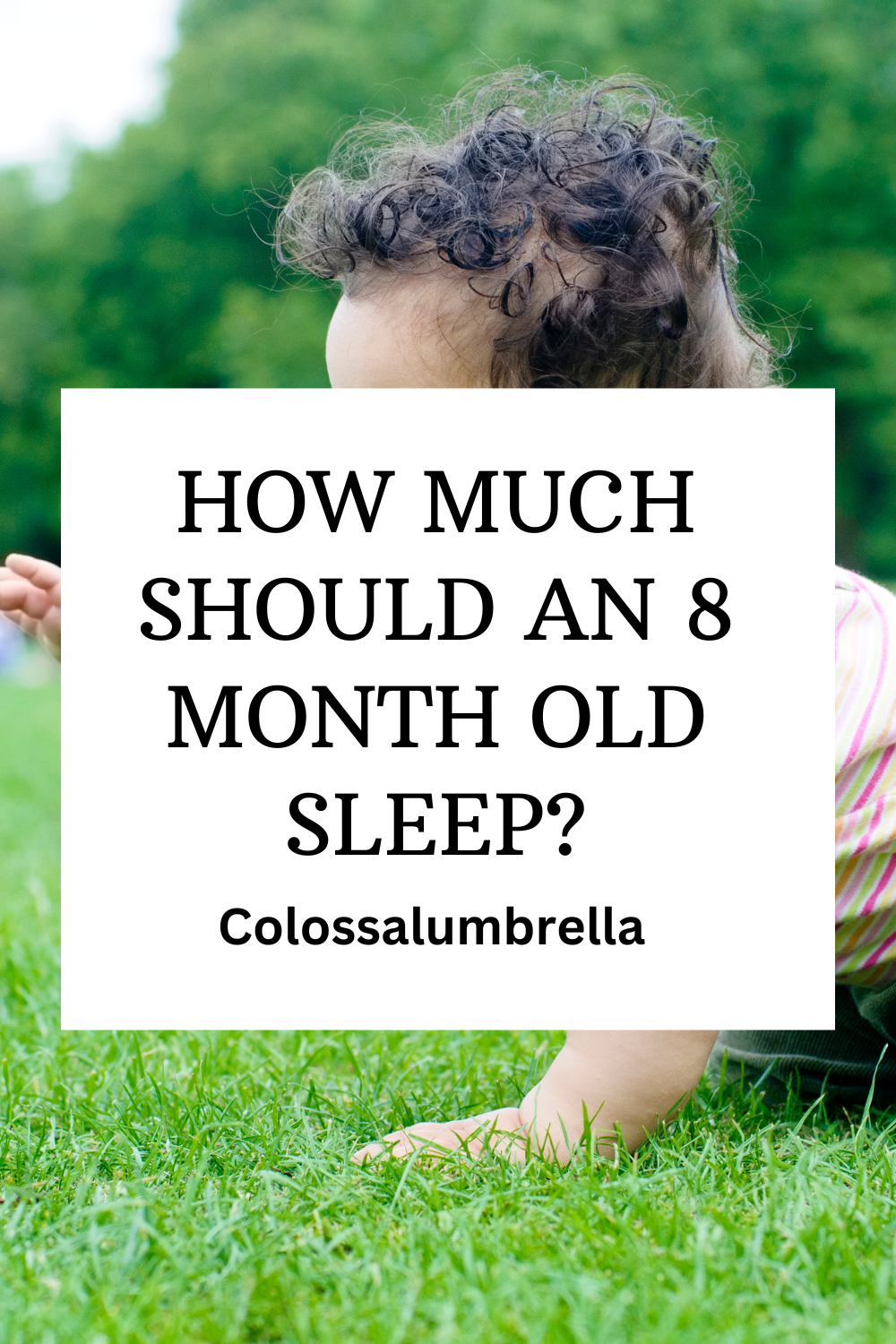 how-much-should-an-8-month-old-sleep-free-schedule-printable