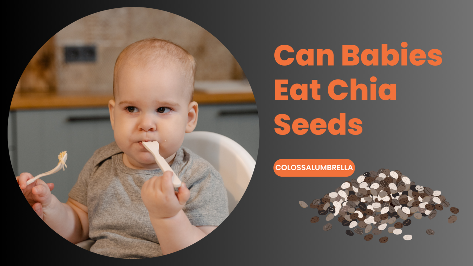 Can Babies Eat Chia Seeds 8 Benefits based on research