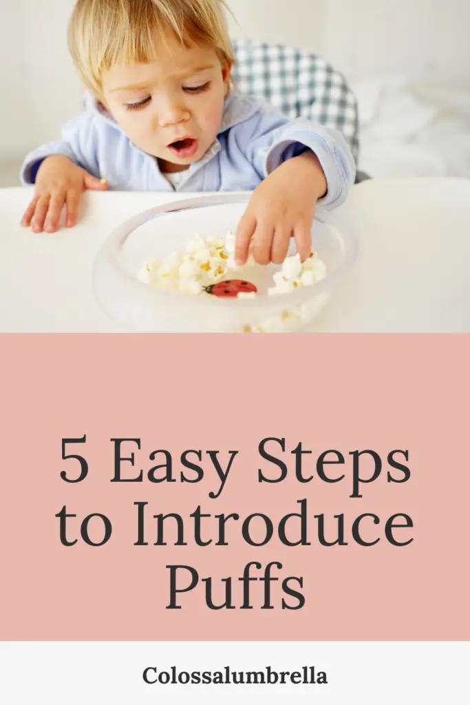 5 Easy steps to introduce Puffs to your baby