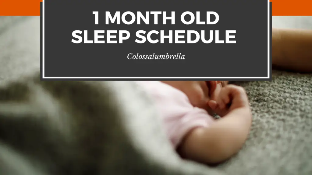 simple-1-month-old-sleep-schedule-printable-updated-2024